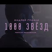 Андрей Гризли 1000 Звёзд