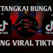 Dj Dangdut Setangkai Bunga Padi