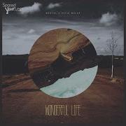 Wonderful Life Original Mix