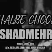 Shadmehr Aghili Ghalbe Choobi