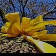 Tie A Yellow Ribbon Round The Ole Oak Tree Henry Mancini And His