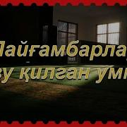 Пайгамбаримиз Умматлари Хакида