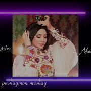 Zulaykho Mahmadshoeva Bacha Pushaymon Meshay Best 2023 2024 Songs New Song