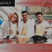 Nueki Tolchonov Shporin Cherepashka Speed