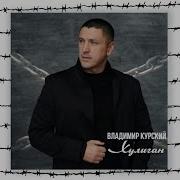 Статья 210 Владимир Курский