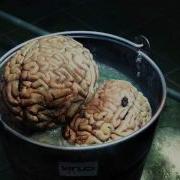 Noisia Brain Bucket