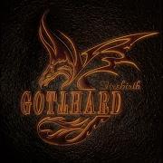 Gotthard Fight