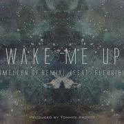 Wake Me Up Mellen Gi Remix