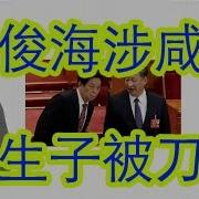 蒋仁正习近平