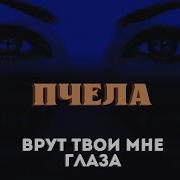 Врут Твои Мне Глаза Пчела