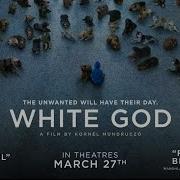 فيلم White God