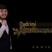 Eltun Esger Dost Dediyim Adama Küreyimi Verdim