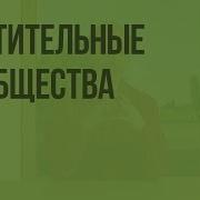 Структура Ростительного Сообщества Параграф По Биологии