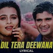 Raghuveer Dil Tera Deewana Remix S