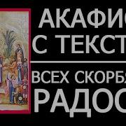 Акафист Пресвятой Богородице Пред Иконой Всех Скорбящих Радость