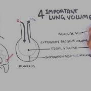 The Lung Function