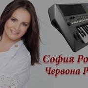 Червона Рута София Ротару Кавер На Синтезаторе Yamaha Psr S670