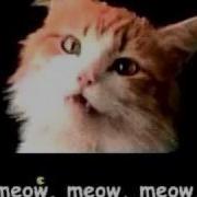 Meow Meow Meow Meow Meow Mix Song 5 Минут