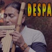 Despacito Flute