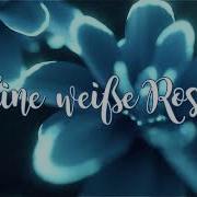 Eine Weiße Rose Instrumental