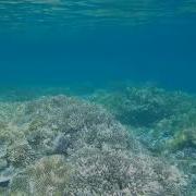 Египет Хургада Под Водой