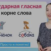 Безударные Гласные В Корне Слова