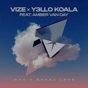 Vize Y3Llo Koala Amber Van Day