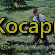 Косарь Кольцов А В