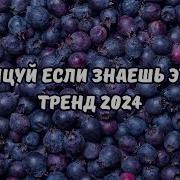 Тренд Бурундуки 2024