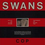 Cop Swans