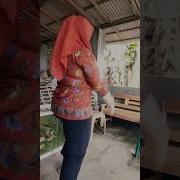 Ibu Ibu Stw Hijab