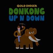 Donkong Up N Down Gold Digger Records