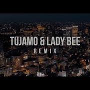 Tom Novy Ft Michael Marshall Your Body Tujamo Lady Bee Remix Dance