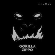 Intro Live Gorilla Zippo