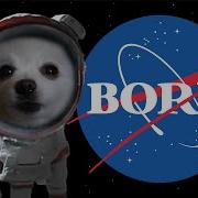 The Final Bork