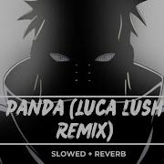 Panda Luca Lush Remix Slowed