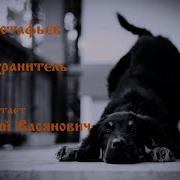 Астафьев Ангел Хранитель