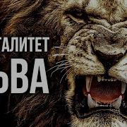 Менталитет Льва Мотивационное Видео Номер 1