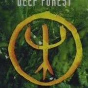 Deep Forest Forest Hymn