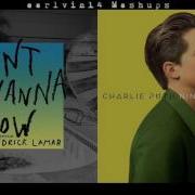 Don T Wanna Know Vs We Don T Talk Anymore Mashup Maroon 5 Charlie