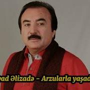 Seyyad Elizade Arzularla Yasadim