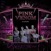 Pink Venom Concert Version