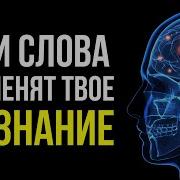 Как Выбраться Из Нищеты Вадим Зеланд