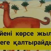 Түйені Көрсе Жылқы Неге Қалтырайды