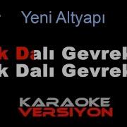 Erik Dalı Lyrics