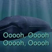 Blue Whale Theme Song With Lyrics 2017