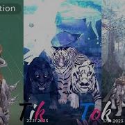 Wildcraft Tiktok Compilation