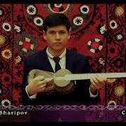 Azamat Sharipov Chandir