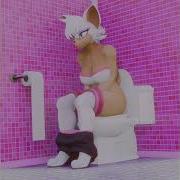 Sfm Diarrhea Toilet