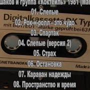 Магнитоальбом 1981